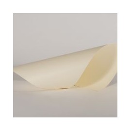 Papel de textura de grano Superfine Eggshell color marfil