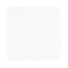 Papel autoadherible con textura verjurada Label Laid White Digital 90g 30.48x45.72