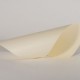 Cartulina texturizada de grano Superfine Eggshell color marfil